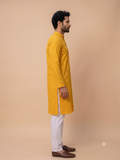 MLS CHIKANKARI KURTA PAJAMA