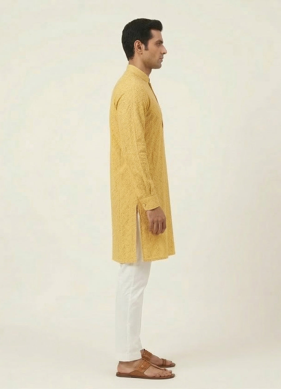 MLS PATHANI SUIT 2PCS