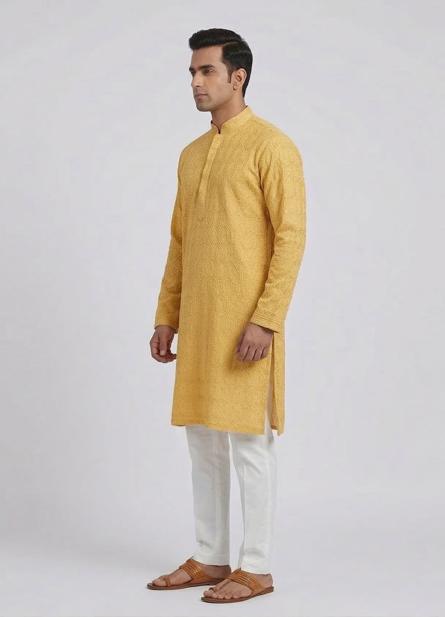 MLS PATHANI SUIT 2PCS