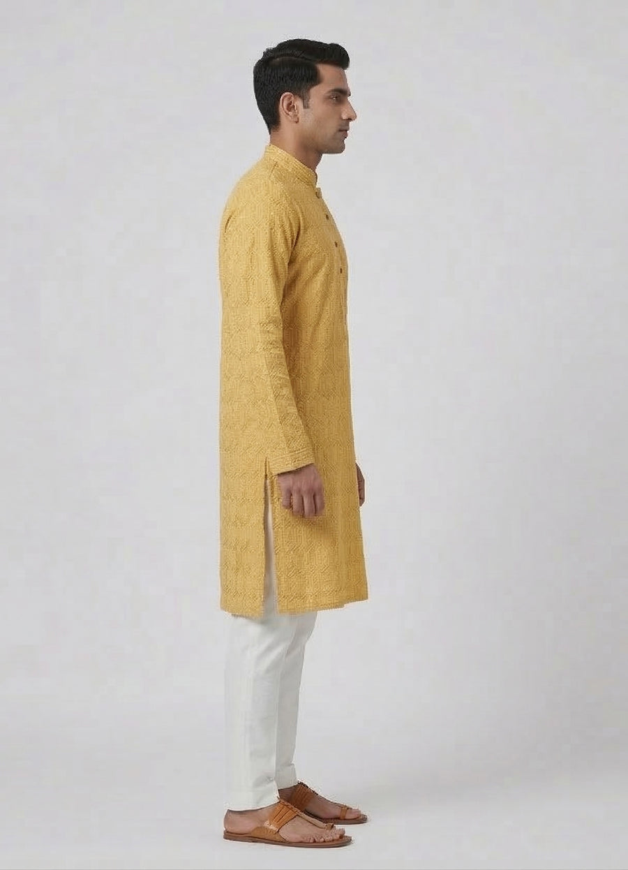 MLS PATHANI SUIT 2PCS